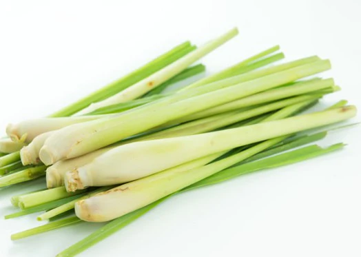 Fresh Lemon Grass 1 x Bunch - TO ORDER ONLY