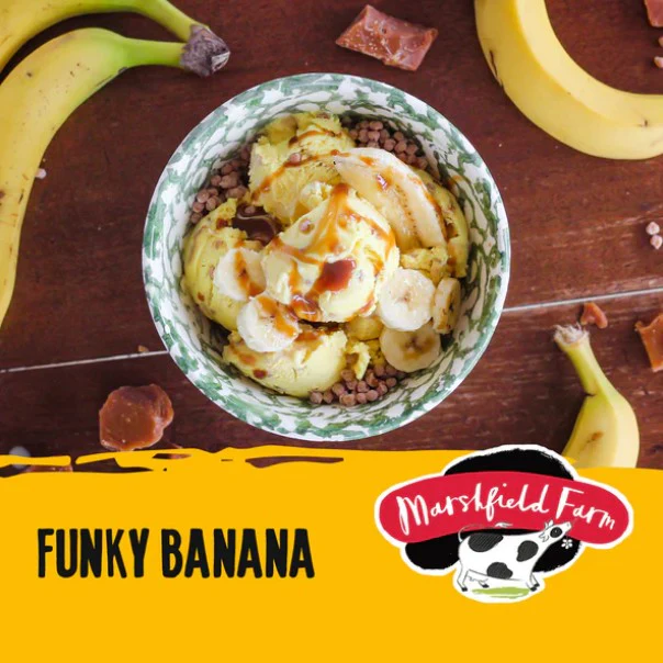 Marshfield Funky Banana Ice Cream 4.5ltr