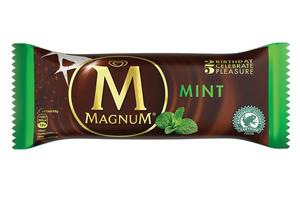 Walls Magnum Mint (CASE) 20 x 100ml